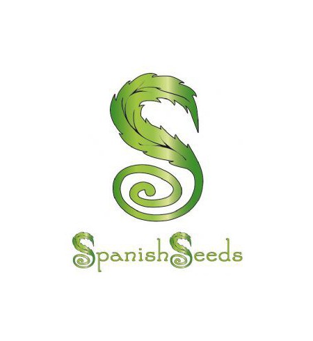 Sweet Tooth AUTO - SPANISH SEEDS Sweet Tooth AUTO - SPANISH SEEDS