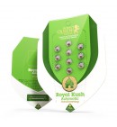 Royal Kush Automatic