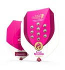 Royal Madre - ROYAL QUEEN SEEDS